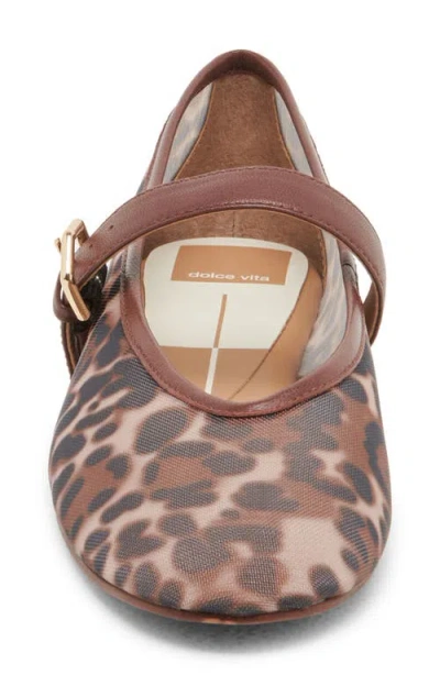Dolce Vita Roslyn Flats Leopard Mesh In Animal Print