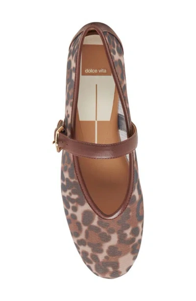Dolce Vita Roslyn Flats Leopard Mesh In Animal Print
