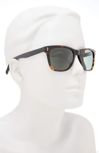 Ted Baker London 53mm Polarized Acetate Frame Square Sunglasses In Brown