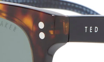 Ted Baker London 53mm Polarized Acetate Frame Square Sunglasses In Brown