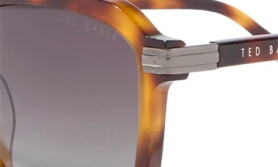 Ted Baker 54mm Polarized Square Sunglasses In Brown