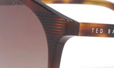 Ted Baker 51mm Polarized Round Sunglasses In Brown