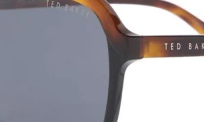 Ted Baker 58mm Polarized Navigator Sunglasses In Multi