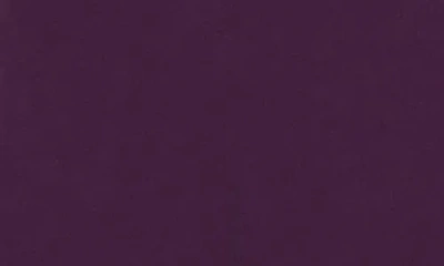 Alex Evenings 8460527 Long Formal Plus Size Mother Of The Bride Dress In Purple