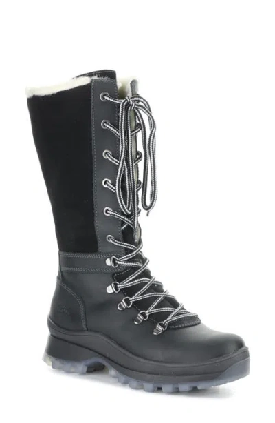 Bos. & Co. Dell Waterproof Wool Faux Shearling Lined Boot In Black