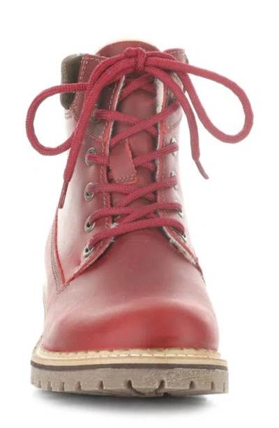 Bos. & Co. Hartt Waterproof Boot In Burgundy