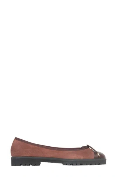 Paul Mayer Bravo Lug Sole Ballet Flat In Brown