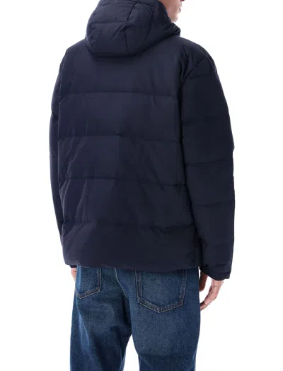 Patagonia Quilted Padded Jacket With High Collar And Hood In Black