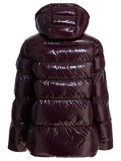 Pinko Eleodoro Jackets Bordeaux In Burgundy