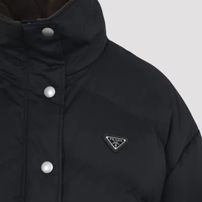 Prada Cotton Padded Jacket Stand-up Collar In Black