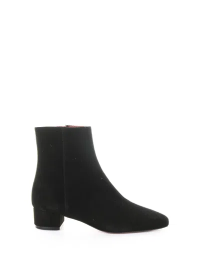 Roberto Festa Suede Zipped Ankle Boots In Black