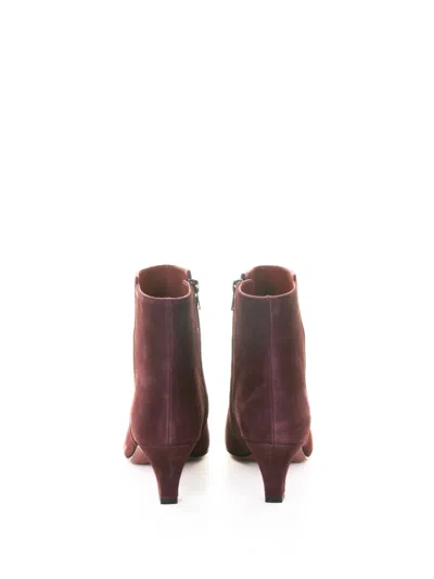 Roberto Festa Plum Suede Ankle Boot In Purple