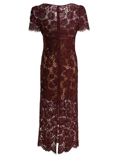 Self-portrait Womens Burgundy Floral Lace Bow-embellished Woven Midi Dress