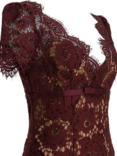 Self-portrait Womens Burgundy Floral Lace Bow-embellished Woven Midi Dress