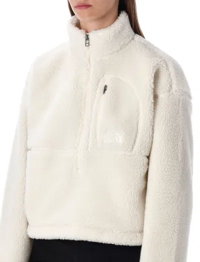 The North Face Extreme Pile Pullover Fleece With Zip In Neutral