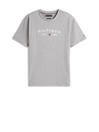 Tommy Hilfiger Grey T-shirt With Big Print.