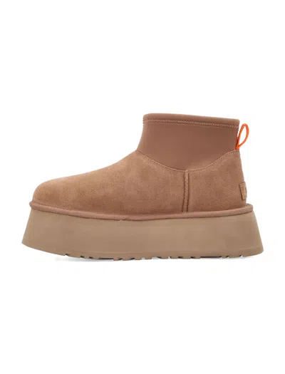 Ugg Classic Mini Dipper Ankle Boots In Brown Suede In Brown