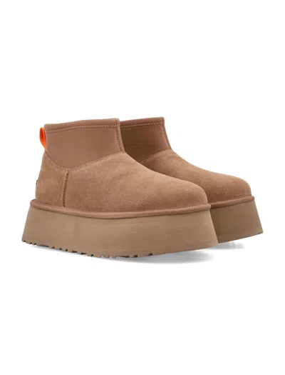 Ugg Classic Mini Dipper Ankle Boots In Brown Suede In Brown