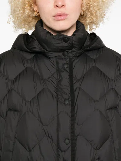 Woolrich Black Quilted Hooded Jacket In Black