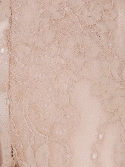 Zimmermann Lace Bodysuit In Pink