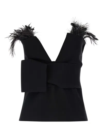 Alberta Ferretti Top With Feathers In Black