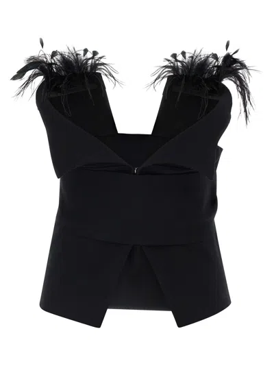 Alberta Ferretti Top With Feathers In Black