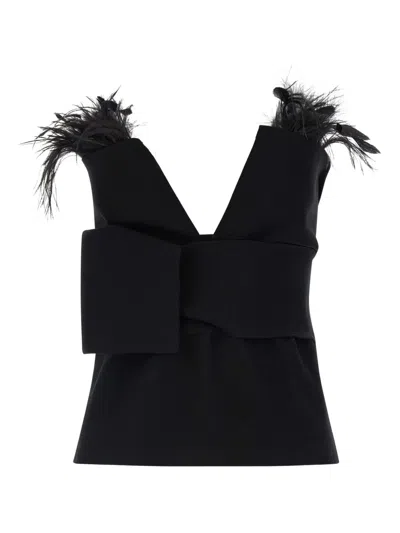 Alberta Ferretti Top With Feathers In Black