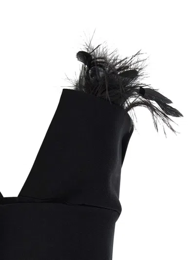 Alberta Ferretti Top With Feathers In Black