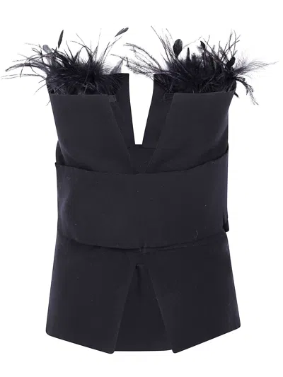 Alberta Ferretti Top With Feathers In Black