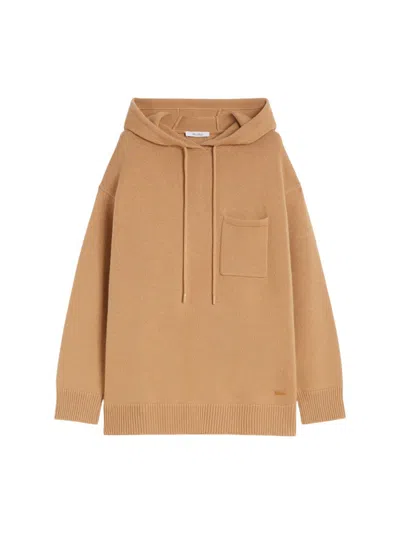Max Mara Wool And Cashmere Hoodie In Brown