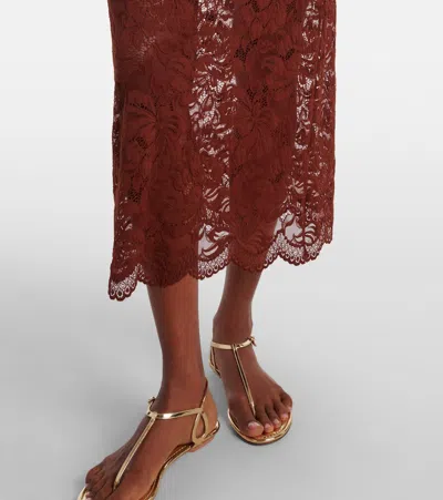Rabanne Floral Stretch-guipure Lace Midi Skirt In Brown