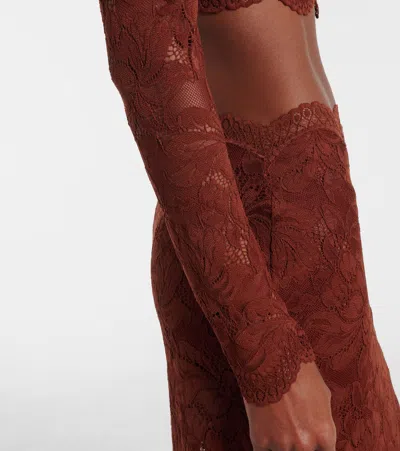 Rabanne Floral Lace Long Sleeve Cropped Top In Brown