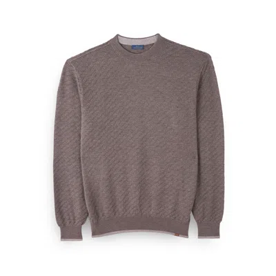 Paul & Shark Merino Extrafine Wool Crewneck Sweater In Brown