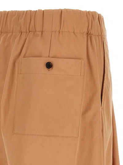 Dries Van Noten Salmon Cupro Blend Pila Wide-leg Pant In Gold