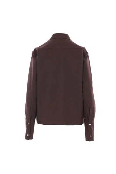 The Latest Shirts In Brown