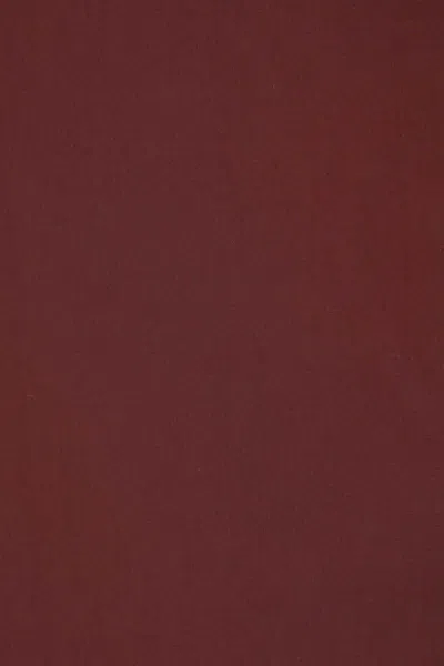 Jil Sander High Neck Hooded Padded Vest In Brown