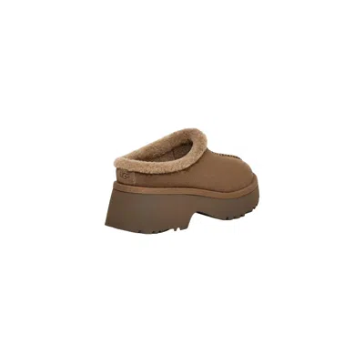 Ugg Suede Cosy New Heights Mules 60 In Multi