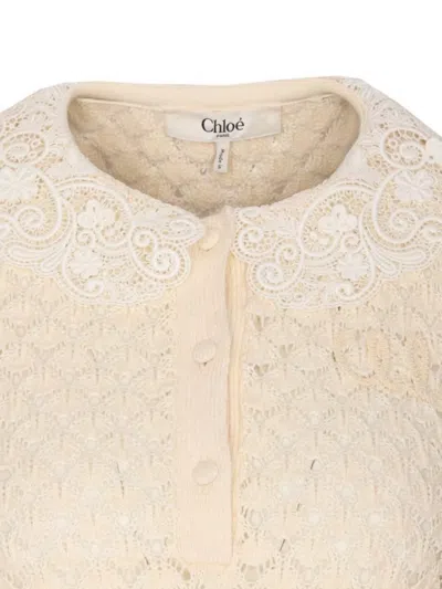 Chloé Ivory Knit Polo Shirt With Lace Collar In Neutral