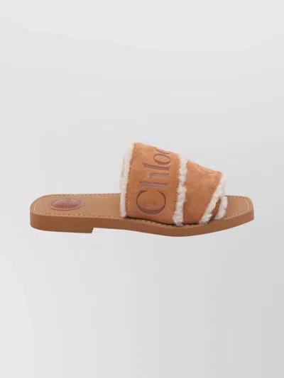 Chloé Chloe' Women Woody Sandals In Brown