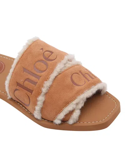 Chloé Chloe' Women Woody Sandals In Brown