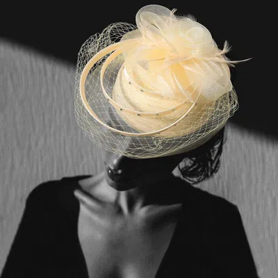 Fashnzfab Mesh Flower Feather Pointed Fascinator / Dressy Hat In Multi