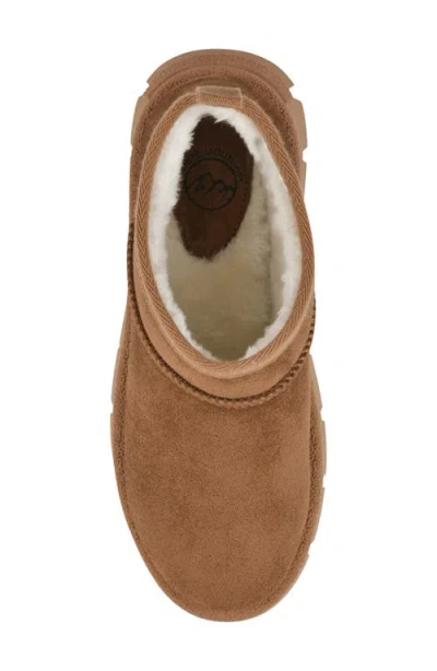 White Mountain Footwear Toree Faux Fur Lined Platform Boot In Brown