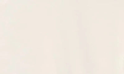 Obey Send Me On A Carousel Graphic T-shirt In Neutral