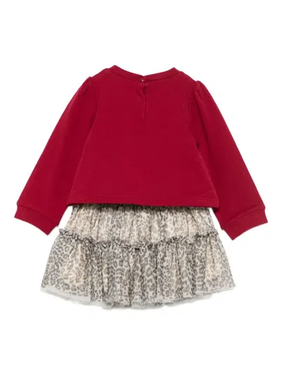 Liu •jo Ruffled Leopard-print Skirt Set In Red