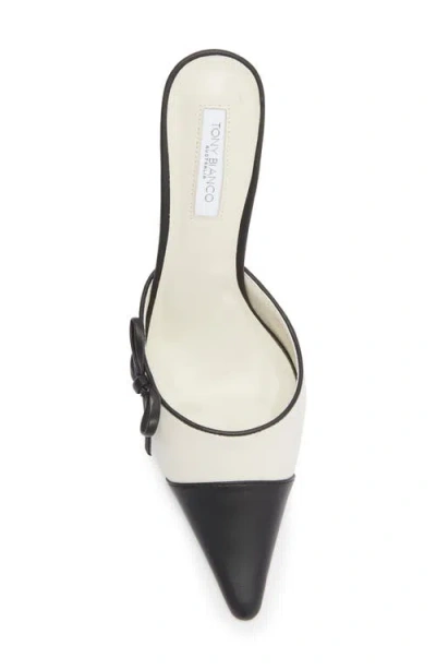 Tony Bianco Shirley Pointed Cap Toe Mule In Multi