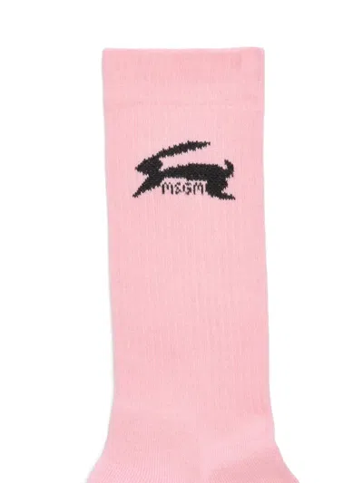 Msgm Rabbit-logo Socks In Pink