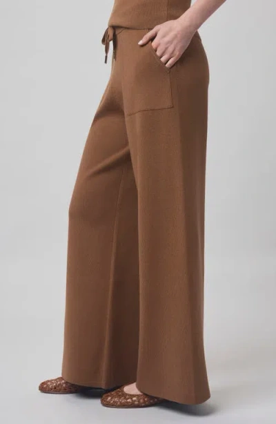 Splendid X @cellajaneblog Seam Pants In Brown