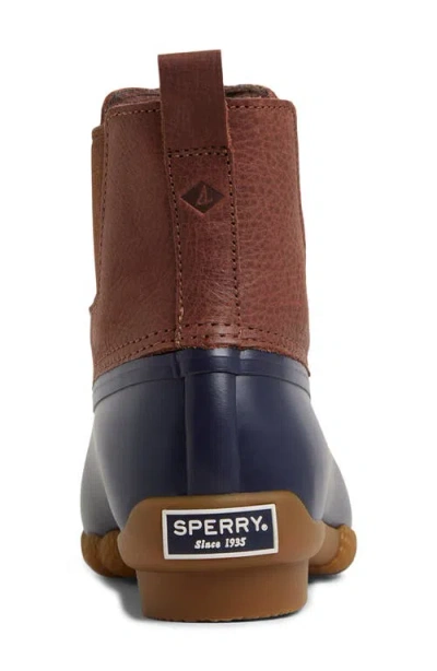 Sperry Saltwater Ch_wm In Brown