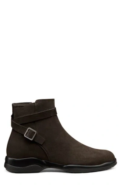 Stuart Weitzman Crew Buckle Boot In Brown