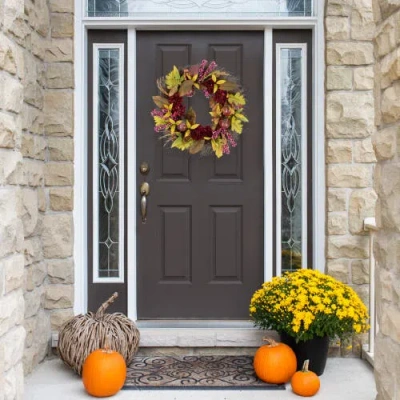 Northlight Mums And Pomegranates Twig Wreath In Brown